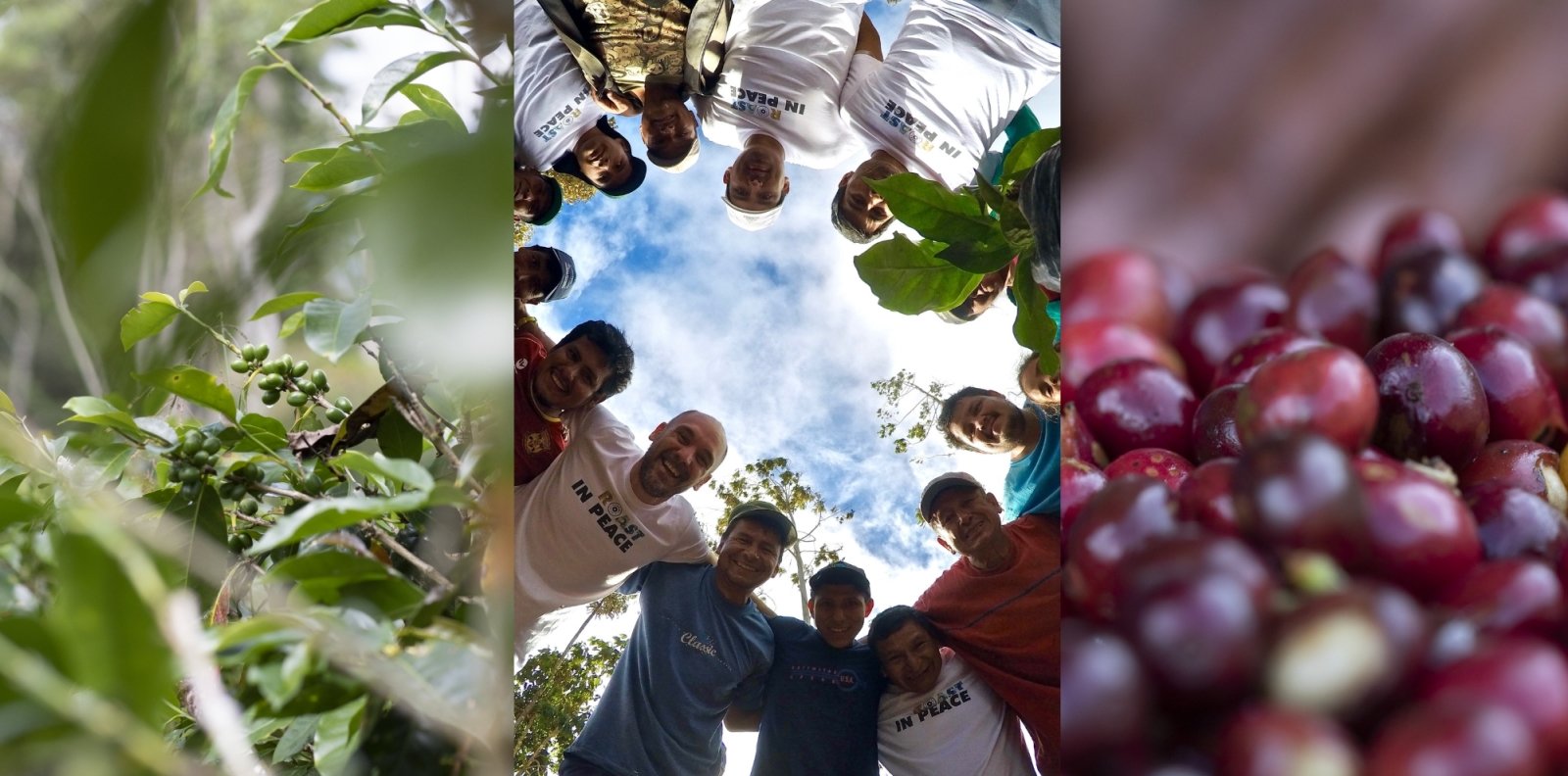 Finca Mariposa, the agroecological farm of L'Arbre à Café, producer - L'Arbre à Café