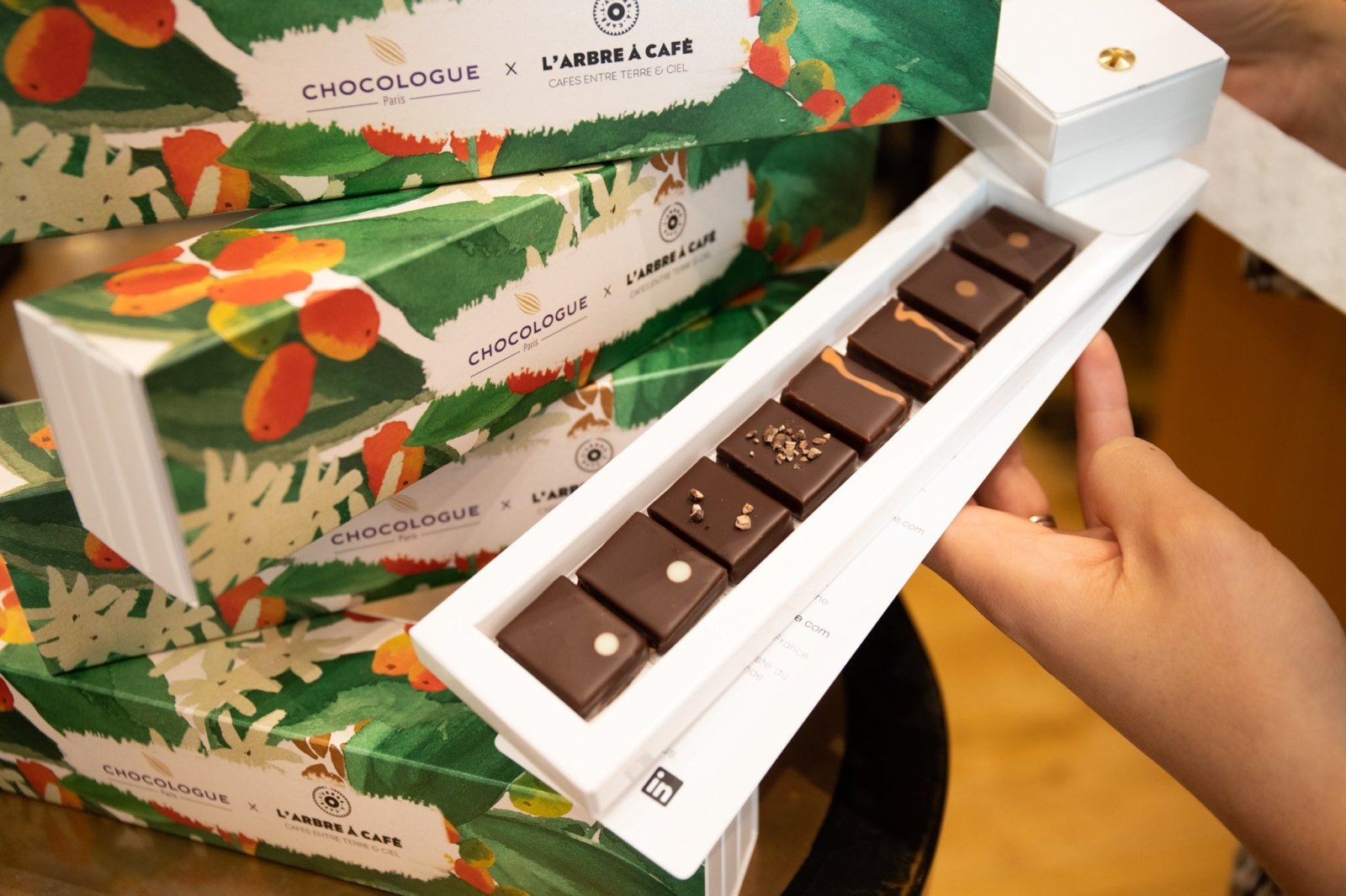 New : Coffee chocolate color chart in partnership with Chocologue Paris - L'Arbre à Café