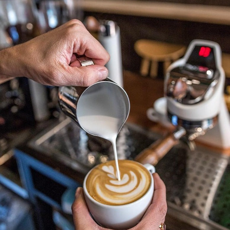 Discover Latte Art - Training - L'Arbre à Café