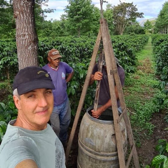 Iapar Diamantina - Pro 1kg VAT incl. - Coffee - L'Arbre à Café