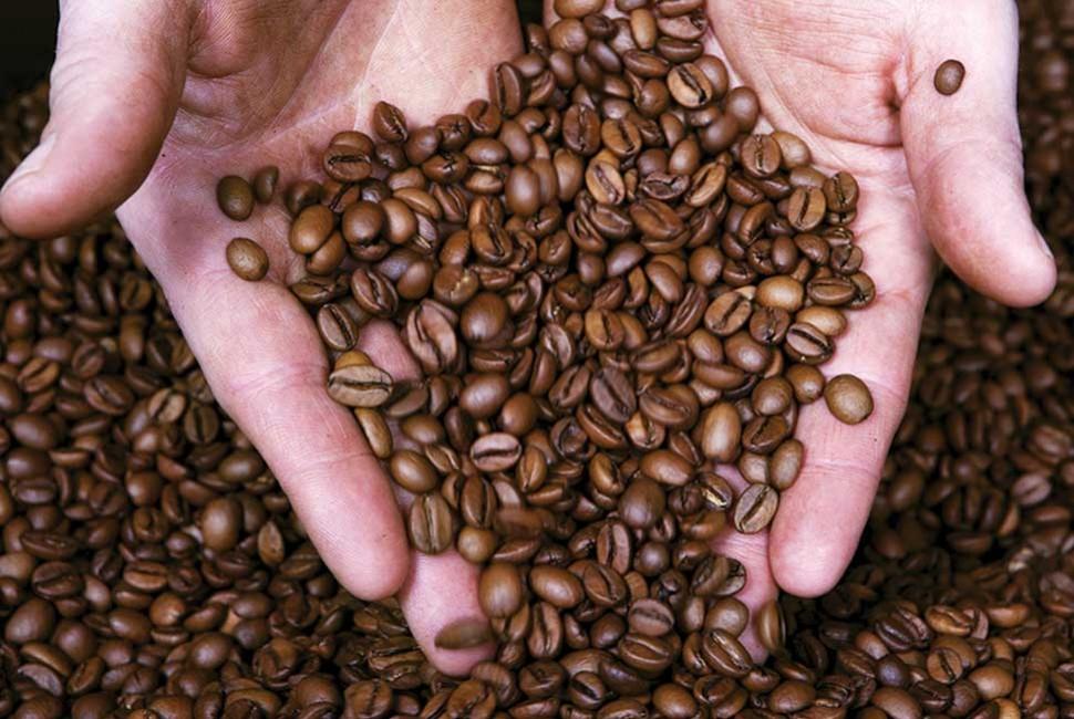 Le secret d'un bon café, c'est un grain de café parfaitement moulu