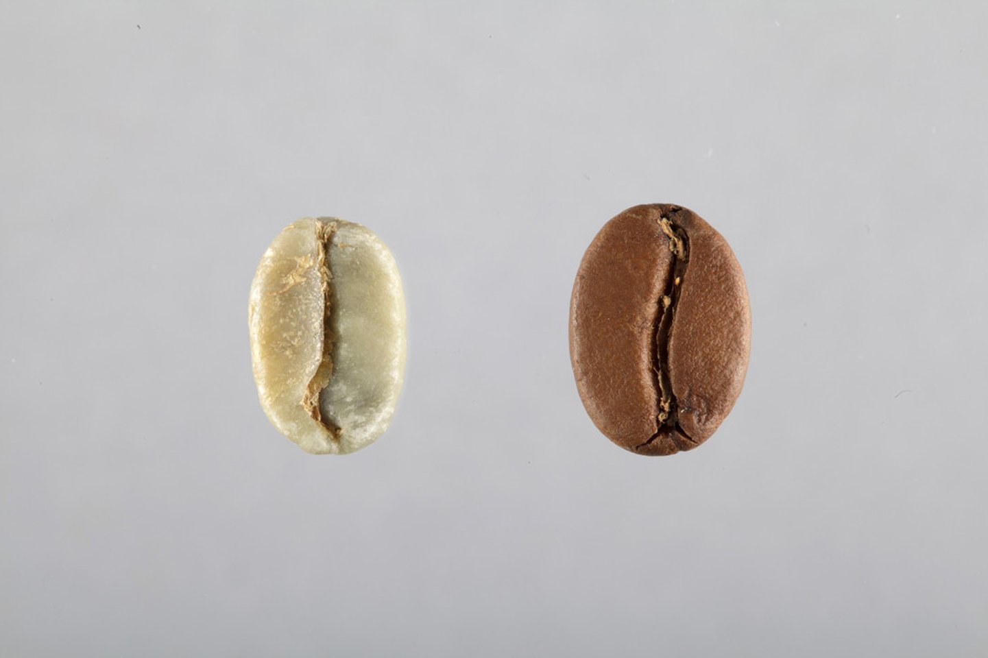 Vente ligne café grain noisette, artisan torréfacteur, café