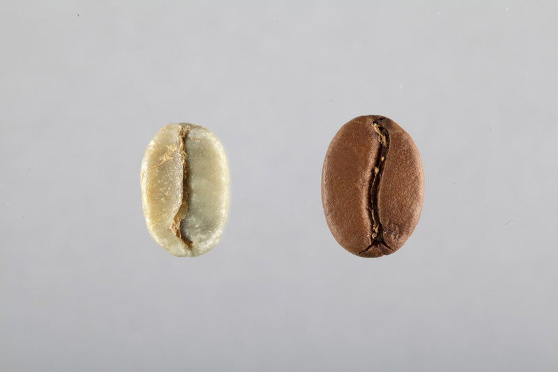 Les étapes d'un grain de café. - Blog sur le café, histoires, recettes