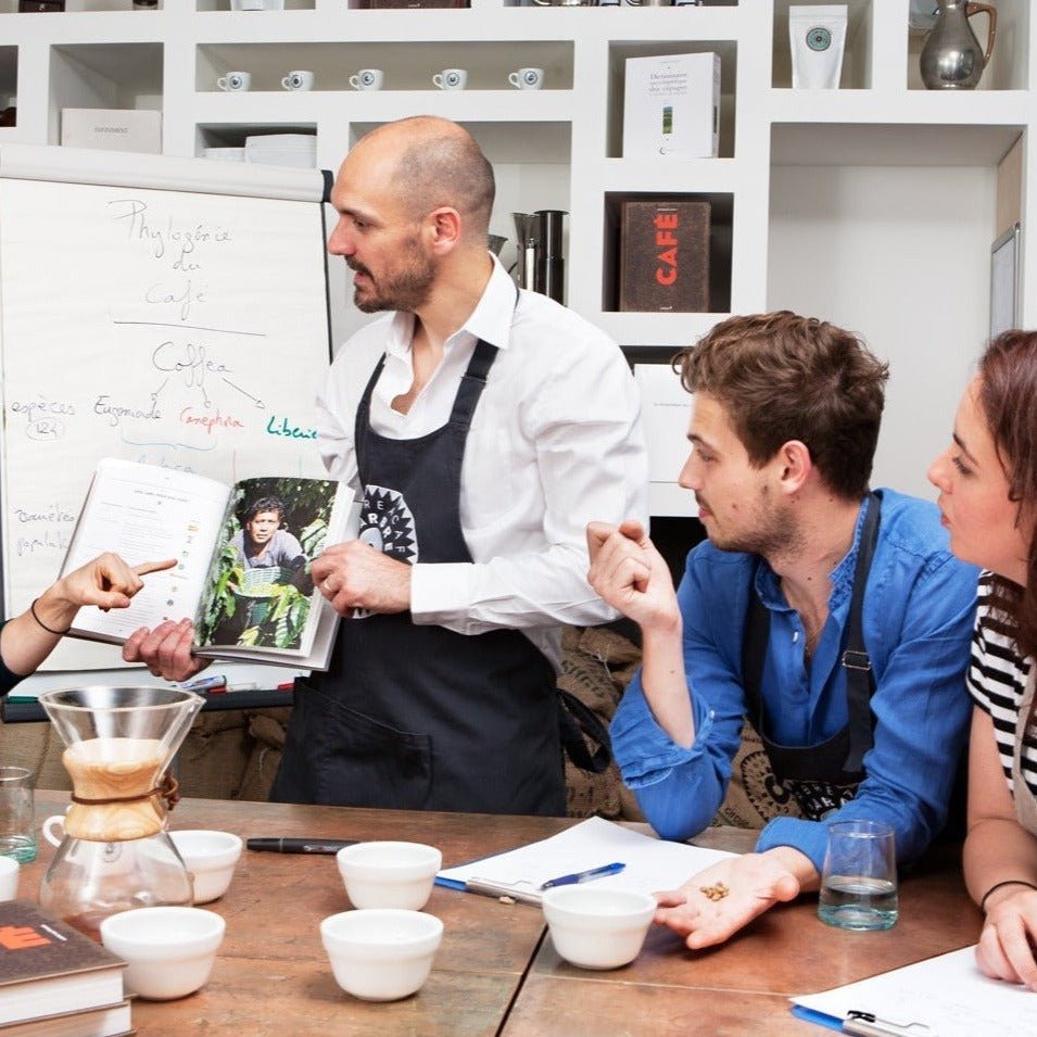 La Totale : tous les ateliers café en une seule formule ! - Formation - L&#39;Arbre à Café